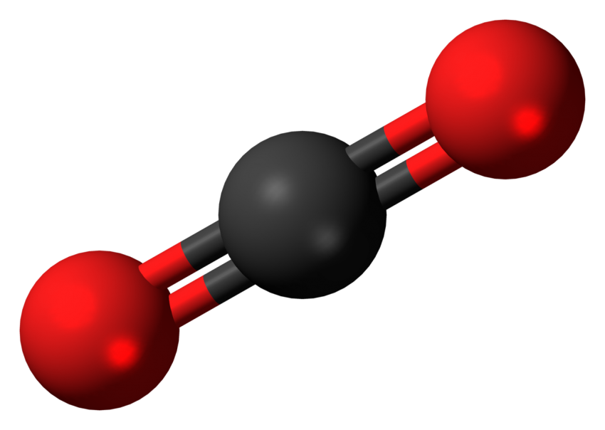 5.15 quiz: carbon and oxygen cycles