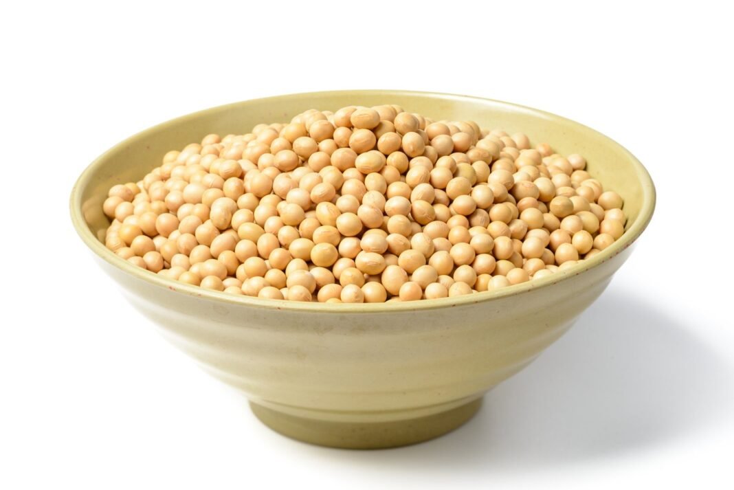 kiyako soya bean powder